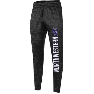 Northwestern Wildcats Men's Under Armour Joggers