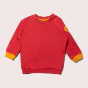 Soft Red Raglan Sweatshirt